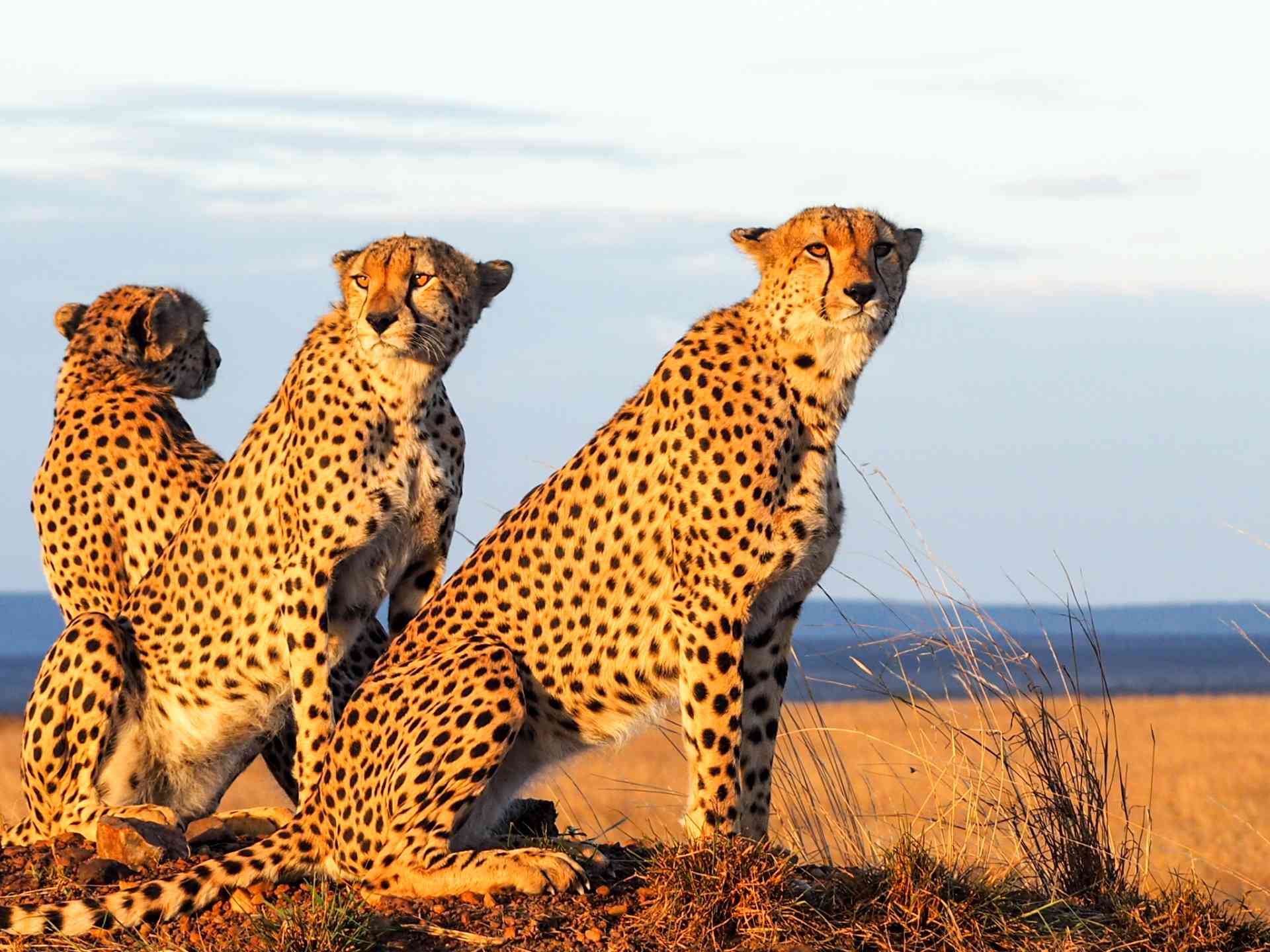 Discover Madagascar | Bunnik Tours